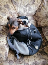 Mochila De viaje portátil plegable con doble hombro para mascotas, bolsa de transporte frontal de malla para perros y gatos