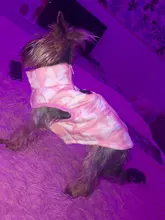 Puppy Outfit Vest Coat Dog-Jacket Pets Padded-Chihuahua Apparel-20 Small-Dogs Warm Winter