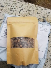 Moringa Oleifera de alta calidad