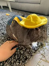 Ropa de conejo para mascota, chaqueta vaquera, abrigo, arnés de PEQUEÑO Animal, chaleco con correa, bolsa, conjunto de sombrero para Hurón, conejo, hámster, cachorro, gatito