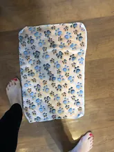 Bed-House Hamster-Accessories Hedgehog Guinea-Pig Chinchilla Squirrel Rabbit Nest Small Animal