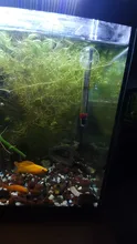 1 Uds medidor de vidrio acuario vidrio temperatura del agua termómetro con bonita ventosa 7cm