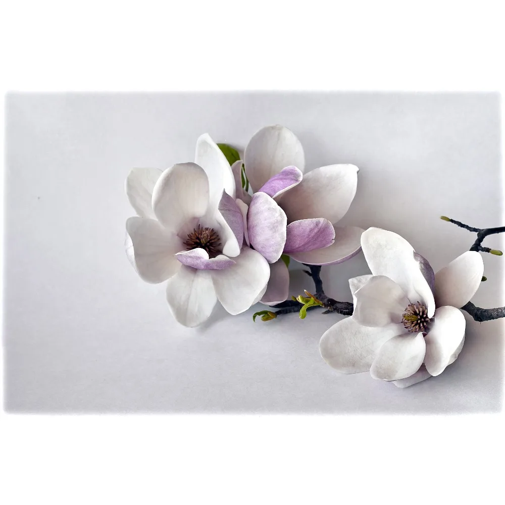 Depositphotos_43512211_xl-2015