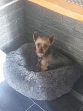 Camas redondas para gatos, casa de felpa suave y larga, La mejor cama de perro para canasta para perros, productos para mascotas, cojín, cama para gato, esterilla para animales, sofá para dormir