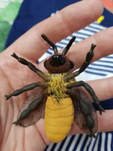 Figuras de simulación nueva para niños, modelo de animales, abejas, avispas, miniinsectos, juguetes cognitivos, juguetes educativos para edades tempranas