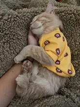 Cartoon Cat Hoodie Sweater Autumn Winter Pet Cat Clothes for Cats Katten Kedi Pullovers