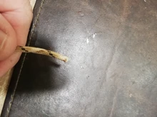 Parachute-Cord Lanyard Survival-Equipment Spec-Type Mil Camping Tents Rop Camouflage