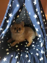 Tienda de campaña portátil para mascotas, casa para animales domésticos con cojín grueso, disponible en 6 colores, para cachorros, perros, gatos, de interior y exterior, ideal para ir de excursión