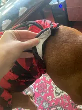 Vest Coat Jacket Pet-Dog-Clothes French-Bulldog-Pet Dogs Small Waterproof Large Winter