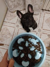 Dog-Bowl Pet Slow-Eating Hard-Plastic Cat Nonslip Anti-Gulping