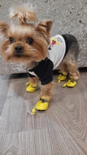 Pet-Shoes Snow-Boots Yorkie Anti-Slip Dogs Chihuahua Small Winter for Cats Reflective