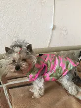 Puppy Outfit Vest Coat Dog-Jacket Pets Padded-Chihuahua Apparel-20 Small-Dogs Warm Winter