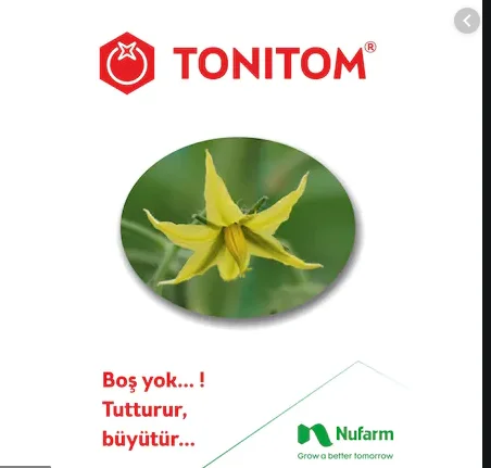 

TONITOM 25 SL 500 cc