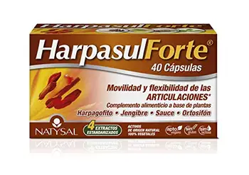 

Actibios Harpasul Forte 40Cap, 1 unit, 400 g