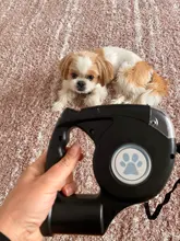 Leash Flashlight Extendable Lead Pet-Dog with Garbage-Bag