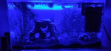 RGB Aquarium Lamp Light Remote-Control Fish-Tank-Essential Plants Colorful for Amphibious-Use