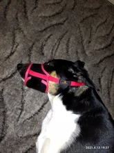 Perro NO muerde ajustable máscara transpirable ladrar morder de la boca de malla boca aseo Anti deja de masticar Anti corteza anti morder S-XXL