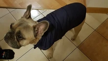 Abrigo de invierno para mascotas, ropa cálida para perros pequeños, abrigo de Navidad para perros grandes, chihuahua