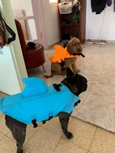 Chaleco salvavidas para perro, chaqueta salvavidas, ropa de baño para perros, traje de baño para mascotas, forma de tiburón
