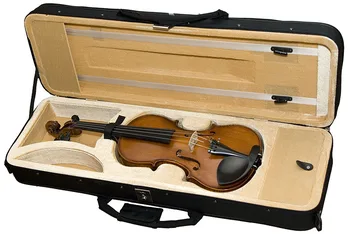 

HPVC professional violin case 4/4 rectangular Hora