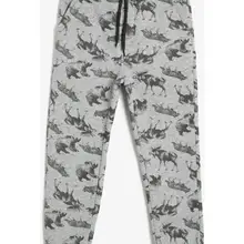 Coton Kids/Серый Детский спортивный костюм с рисунком