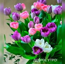 9*9*4 cm caja de papel de embalaje pulsera joyería anillo de exhibición de pendientes de pulsera de regalo de caja de terciopelo Compatible con la joyería de moda