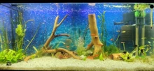 Aquarium-Accessories Sponge Tank Biochemical-Decoration Fish-Tank-Pond Black Cotton Practical