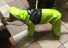 Chubasquero PSM para perros grande, impermeable, 8 tamaños, poliéster reflectante con capucha, impermeable para perros y mascotas, Chihuahua, Bulldog francés
