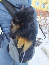 Al aire libre viajes de mascotas de doble bolsa de hombro portátil de viaje mochila al aire libre bolsa de transporte perro mascota frente perro bolsa de malla de mochila de la cabeza