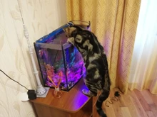 RGB Aquarium Lamp Light Remote-Control Fish-Tank-Essential Plants Colorful for Amphibious-Use