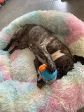 Saco de dormir en invierno para mascotas, caseta de lecho de gatos y perros supersuave, saco de dormir largo y afelpado para cachorros, esterilla portátil, tamaño de 46/50/60cm