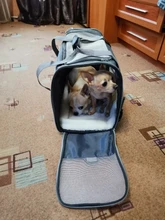 Dog-Carrier-Bags Airline Pet-Cat-Dog-Backpack Portable Cats Small Dog for Approved