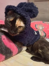 Ropa de Gato caliente para mascotas, abrigo, chaqueta para perros pequeños, medianos, gatos, Chihuahua, ropa de Yorkshire, disfraz rosa, S-2XL