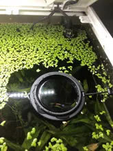 Feeding-Ring Circle-Accessory Fish-Tank-Station Aquarium Floating Food-Tray Buoyancy-Suction-Cup