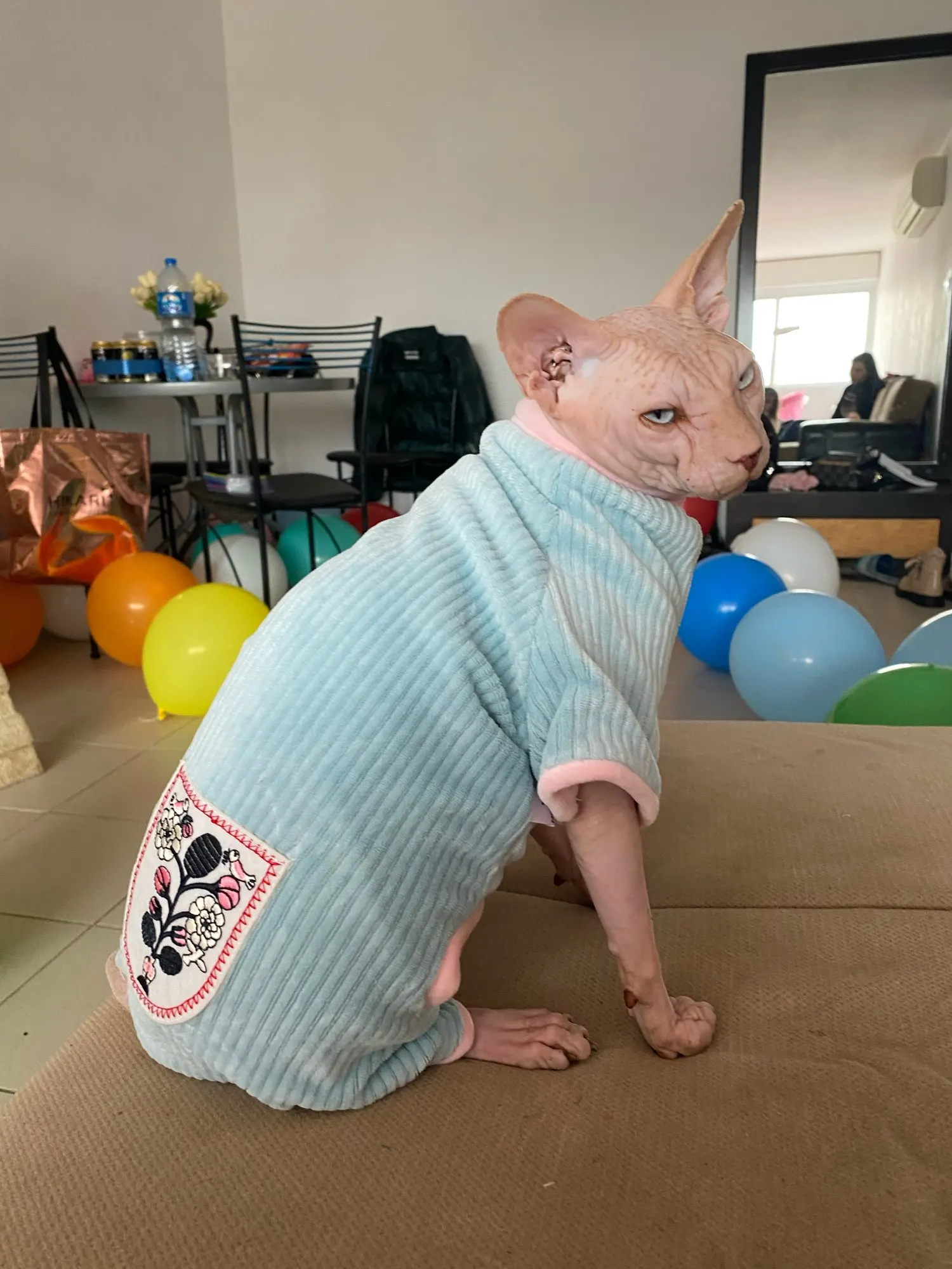 Новогодняя Одежда Для Кошек