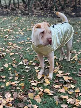 Jacket Coat Vest Pet-Dog Dogs Chihuahua Waterproof Winter Large for Big Autumn Warm Clothing-For-Dogs