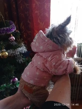 Overalls Fleece Dogs Winter for Star Corduroy Teddy XS M XL