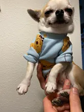 Warm Dog Sweatshirt Puppy-Clothes Dog-Costume Soft-Fleece Chihuahua Winter Yorkshire