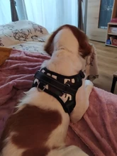 Arnés ajustable suave para perro, chaleco para caminar para perro grande, correa de pecho, accesorios para mascotas