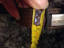 Etiqueta de policarbonato para perros, placa de identificación de silicona de acero inoxidable, Collar para perro, antipérdida, placas de identificación, goma extensible