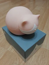 Hot-Water-Bag Cooler Bottle Hand-Warmer Microwave Reusable Outdoor Cute Heating Cat Cartoon