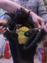 Breakaway Cat Collar Cute Bow Vests Cat Harness and Leash Cat Product Cat Accessories