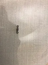 Bolas giratorias de pesca, rodamiento giratorio con anillos de presión de seguridad, accesorios de pesca de carpa, 50 unids/lote