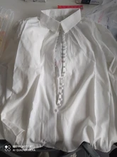 Blusa de manga larga con botones lisos para Primavera, camisa blanca de oficina para mujer, a la moda