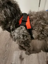 Perro suministros nailon mascota perros arnés Collar de Pet de alta calidad productos harnais pour chie para grandes Grande Mediano pequeño arnés de perro