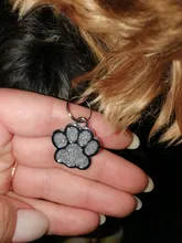 Etiquetas de identificación de perro personalizadas, etiqueta de nombre para gato, cachorro, accesorios para mascotas, etiquetas de dirección de nombre personalizadas, MP0078