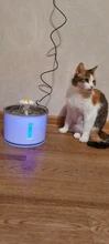 Drinking-Bowl Auto-Feeder CARBON-FILTER Water-Dispenser Water-Fountain Cat Automatic