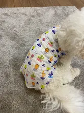 Camiseta de algodón suave con estampado de gato para perros pequeños, chaleco Ropa para perros sin mangas para perros pequeños y grandes, primavera y otoño