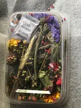 1 caja de hojas de flores prensadas reales, resina de margaritas secas, calcomanías de belleza para uñas, moldes de epoxi, embellecedores para fabricación de joyas