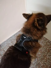 Vest Harness Pet-Dog No-Pull SUPREPET Nylon Adjustable for Large Medium